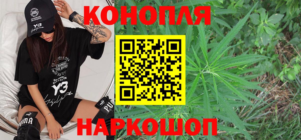 Шишки марихуана тримм  Бошки Шишки ГИДРОПОН  Вход с VPN  Курчалой  Бошки Шишки сатива 